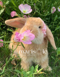 Greeting Card - Bunny in Flowers - #4