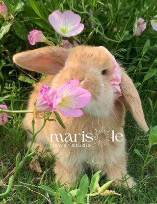 Greeting card with a bunny among pink flowers, featuring Marisole Flower Studio logo.