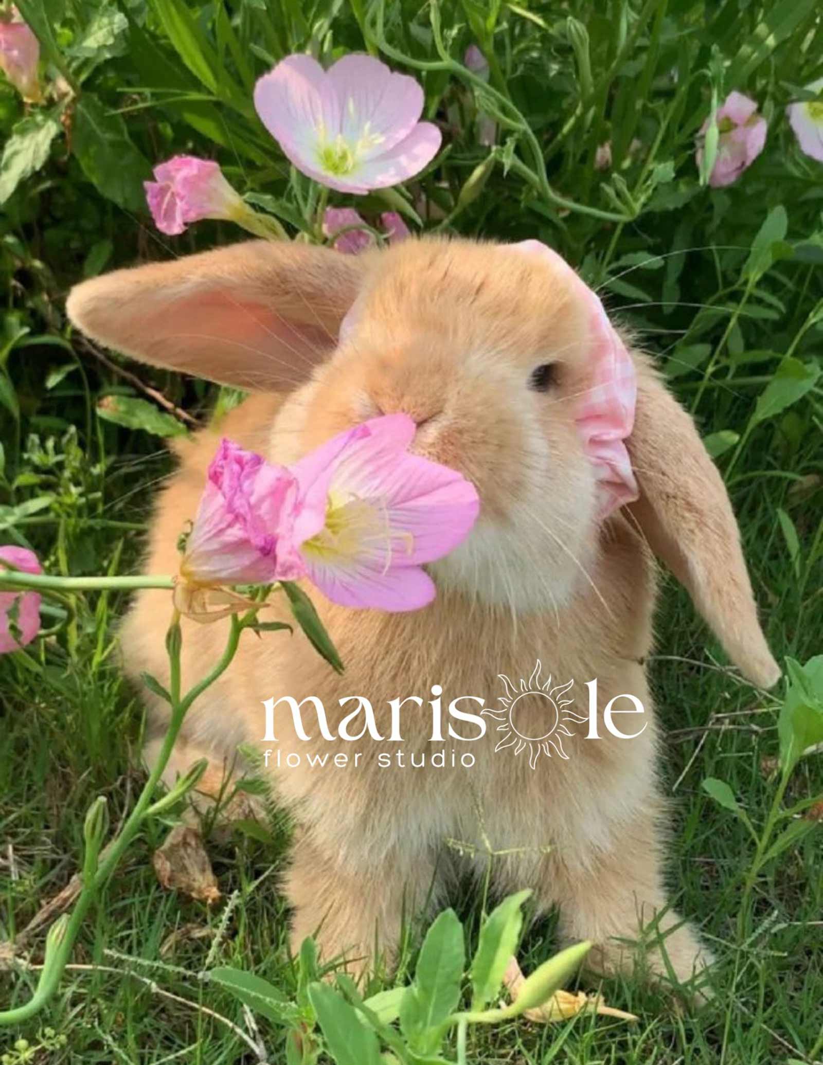 Greeting card with a bunny among pink flowers, featuring Marisole Flower Studio logo.
