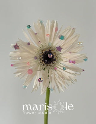 A single white gerbera daisy flower with a dark center and decorative colorful rhinestones and star-shaped embellishments, photographed against a light gray background. The watermark 'marisole flower studio' is visible at the bottom.