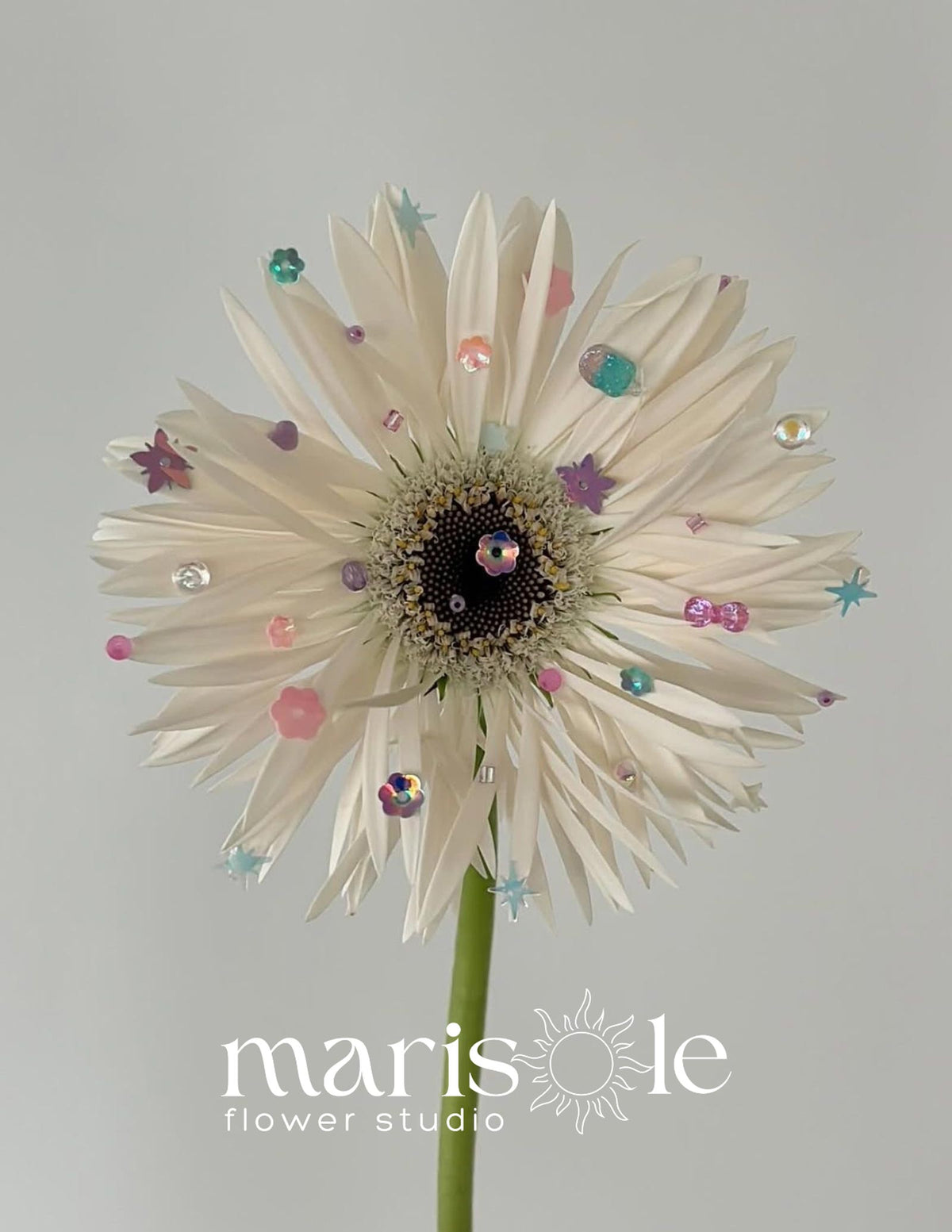 A single white gerbera daisy flower with a dark center and decorative colorful rhinestones and star-shaped embellishments, photographed against a light gray background. The watermark 'marisole flower studio' is visible at the bottom.