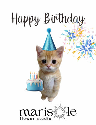 Kitten wearing a birthday hat with a cake and 'Happy Birthday' text, featuring Marisole Flower Studio logo.