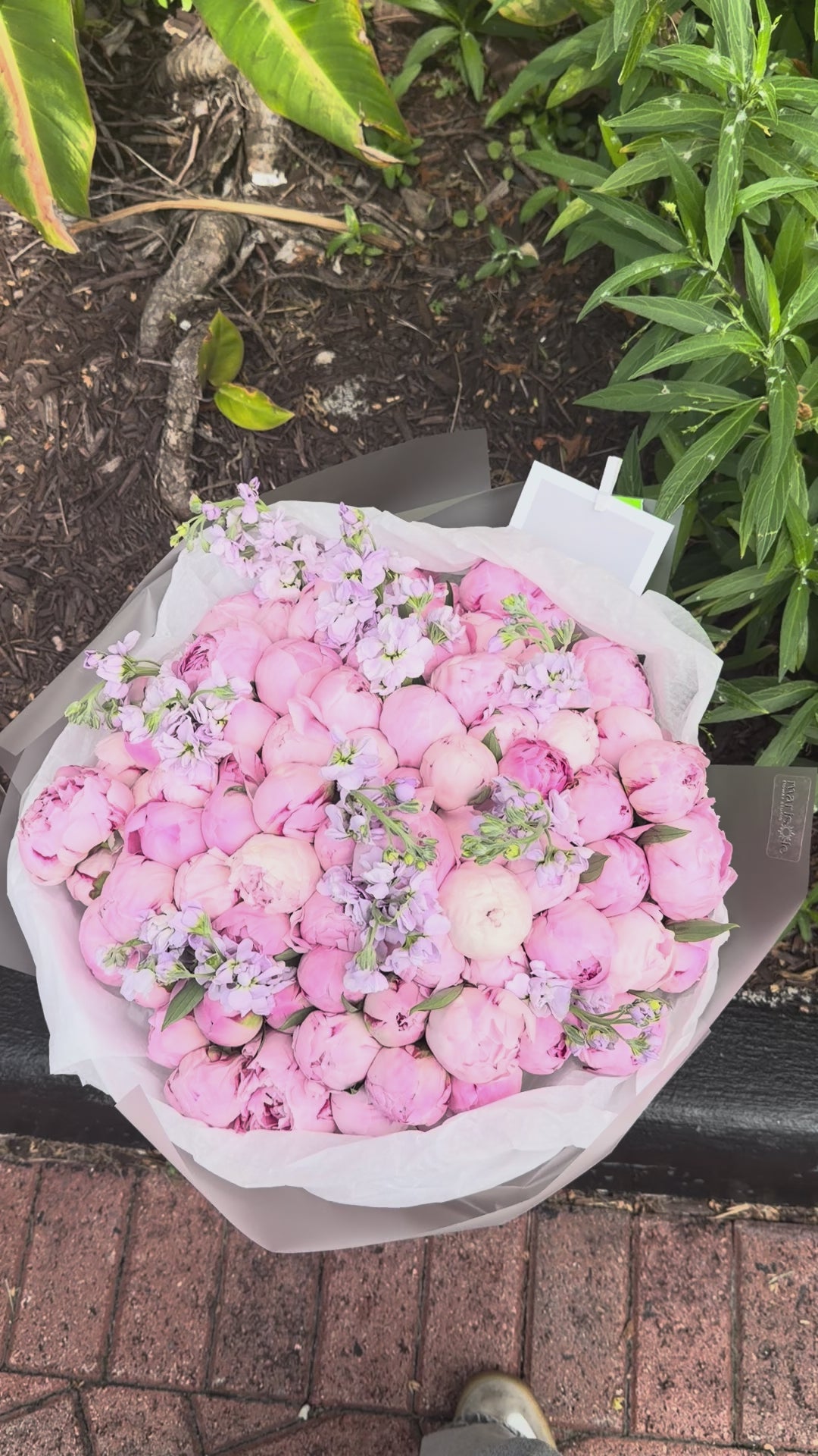 “And I Love Her” - Peonies&Stock