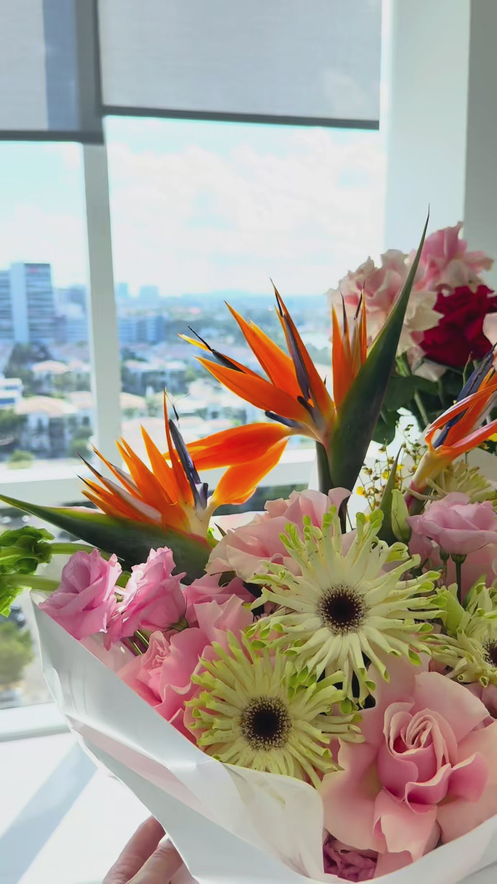 Tropical Dreams - Bird of Paradise, French roses, Carnations, Herbert’s, Bells of Ireland, Oncidium