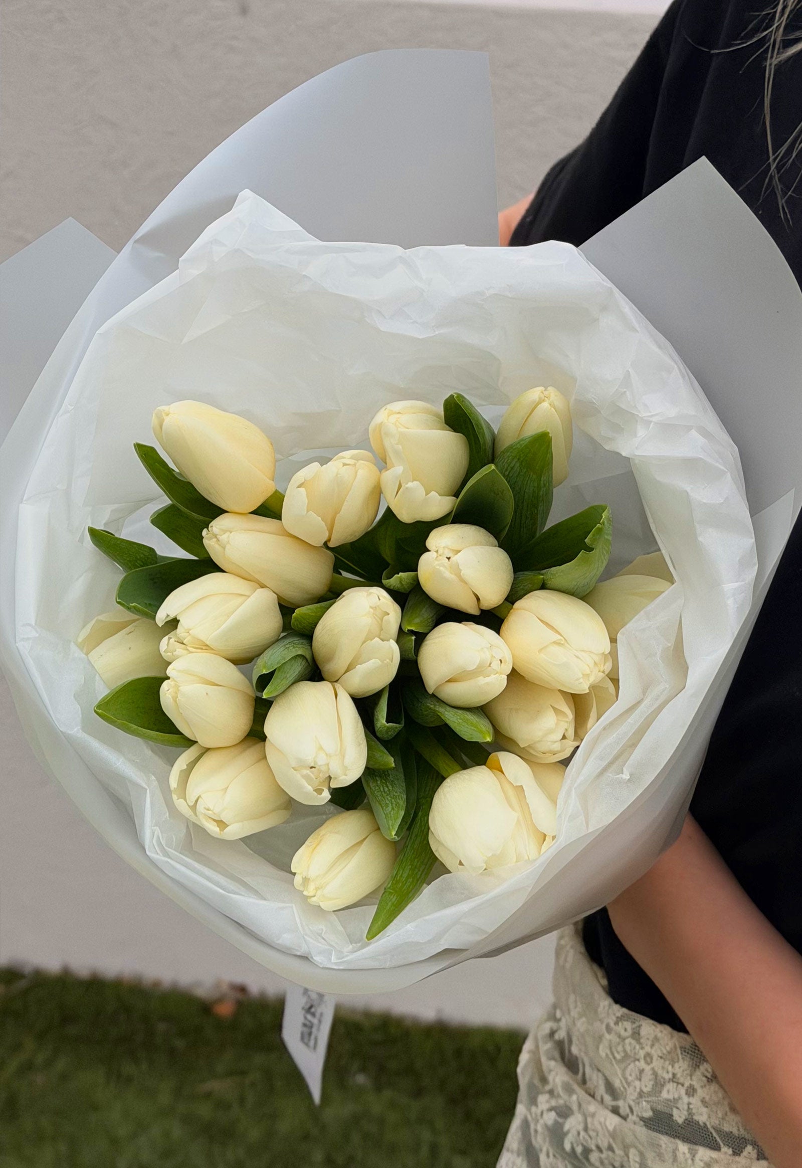 Bouquet of white tulips wrapped in white paper held by a person.