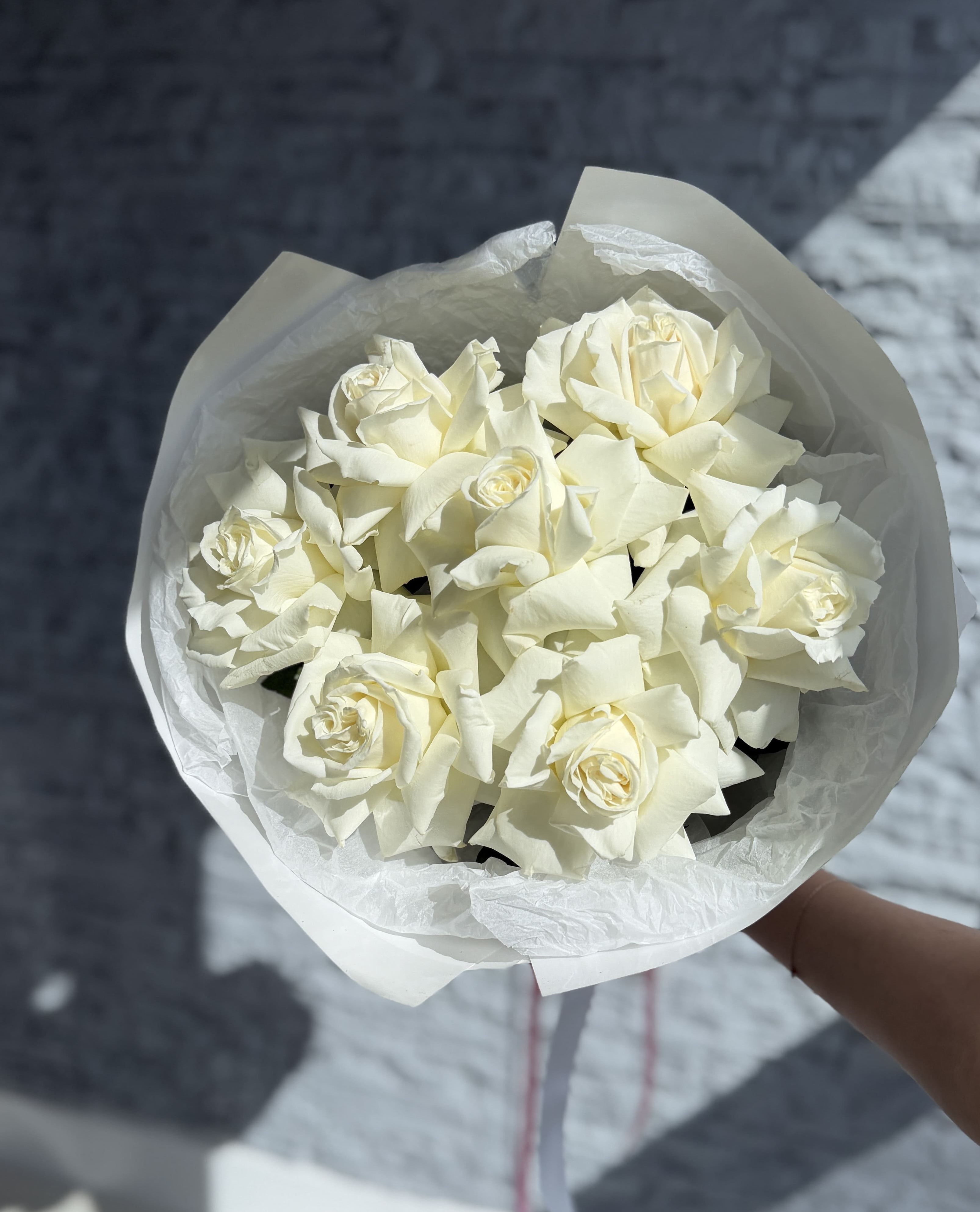 Bouquet of white roses wrapped in white paper held by a hand on a textured surface.